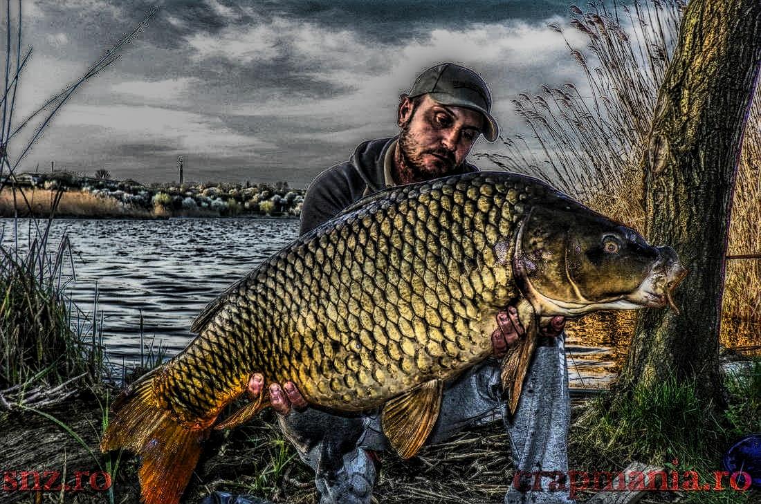 Cupa SBS-2013 - 1010908hdrmode2.JPG